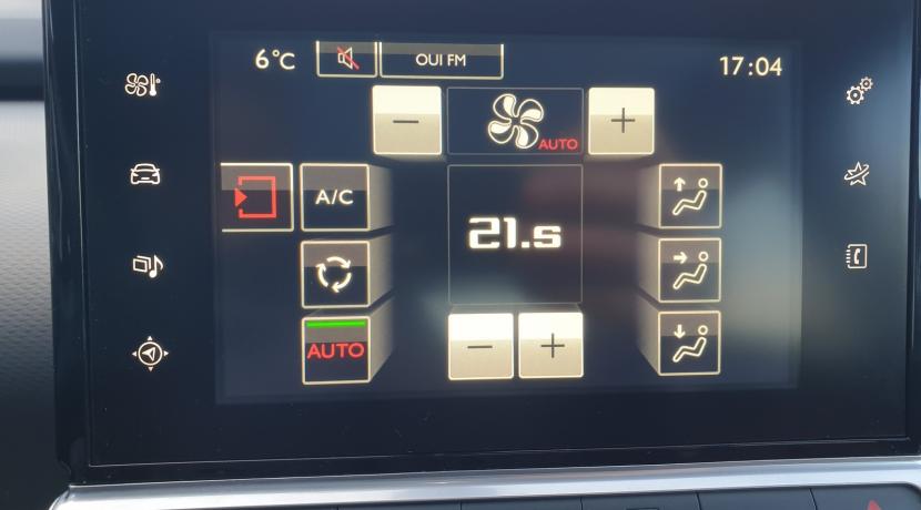 Citroen C4 Cactus 1.6 BLUEHDI 100 S&amp;S SHINE EDITION