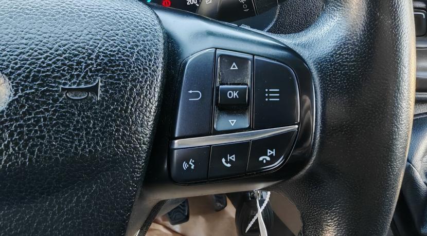 Ford Transit Custom (2) 2.0 ECOBLUE 130 MHEV 300 L2H1 TREND